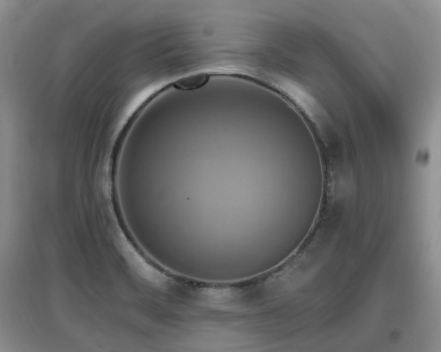 X0000097911468200803141407