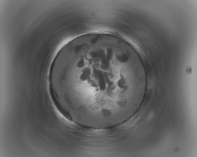 X0000097911471200803141407
