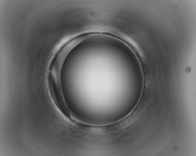 X0000097911472200803141407
