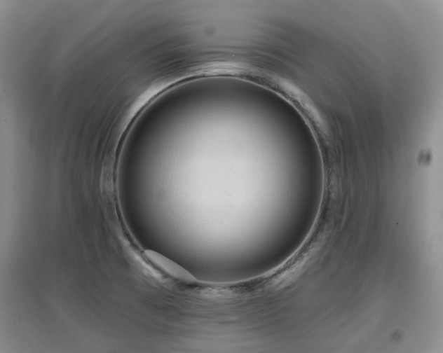 X0000097911473200803141407