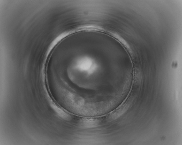 X0000097911474200803141407