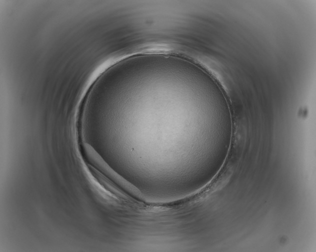 X0000097911475200803141407