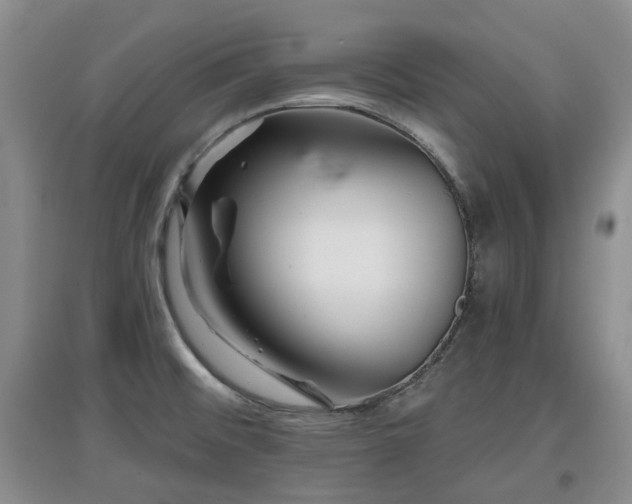 X0000097911476200803141407