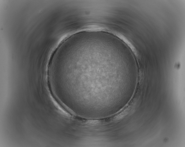 X0000097911477200803141407