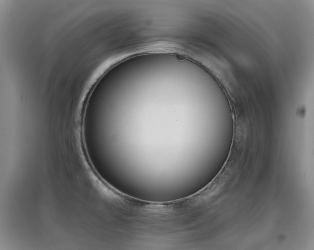 X0000097911478200803141407