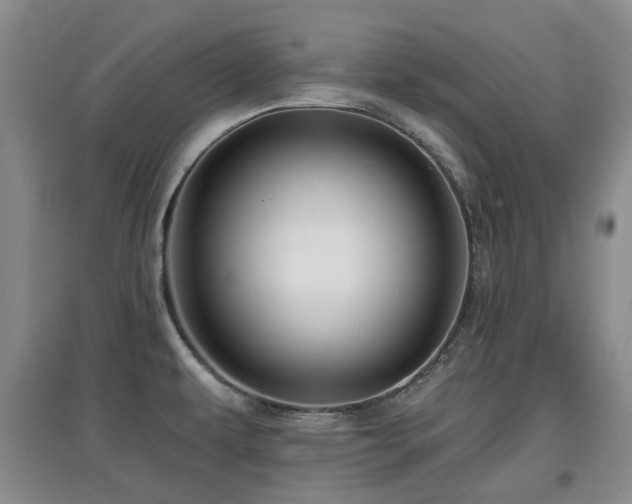 X0000097911479200803141407