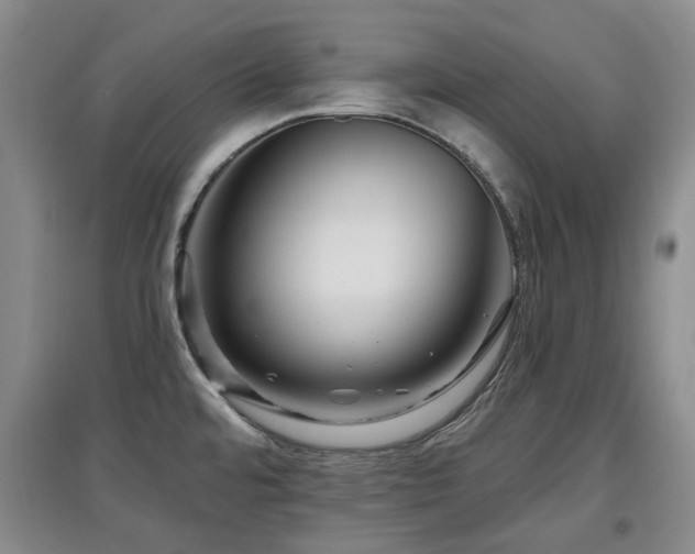 X0000097911480200803141407