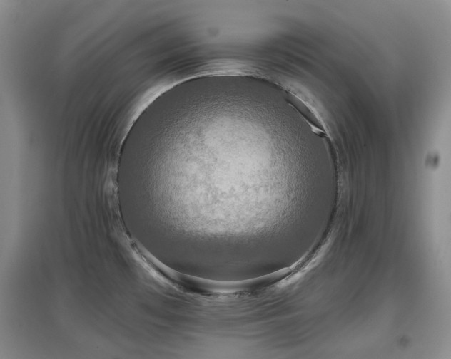 X0000097911481200803141407