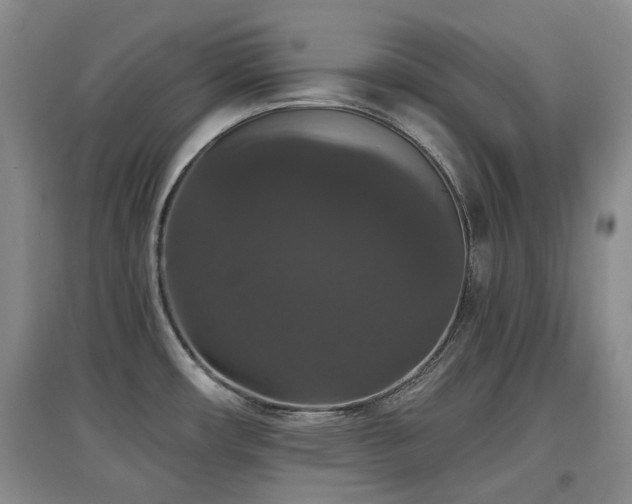 X0000097911482200803141407