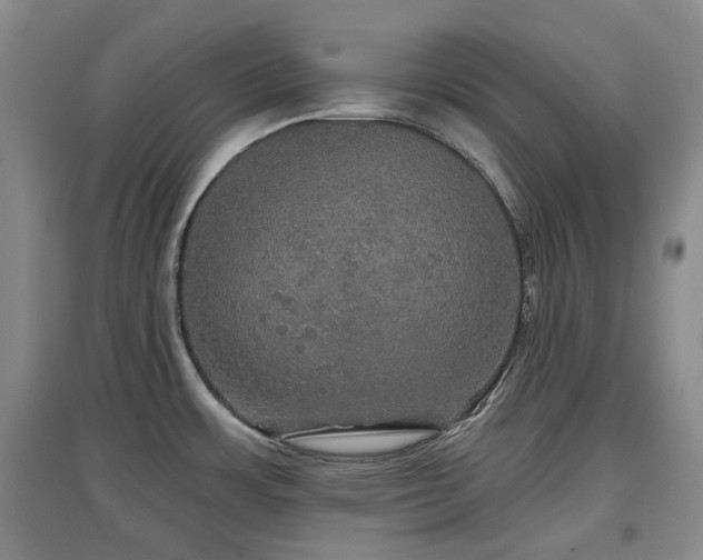 X0000097911483200803141407