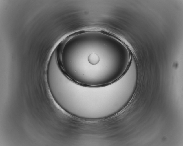 X0000097911484200803141407