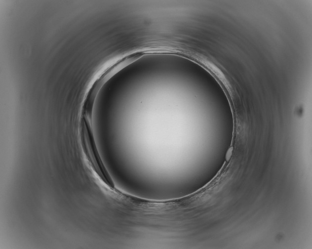 X0000097911485200803141407