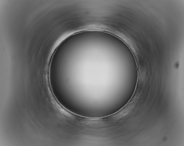 X0000097911486200803141407