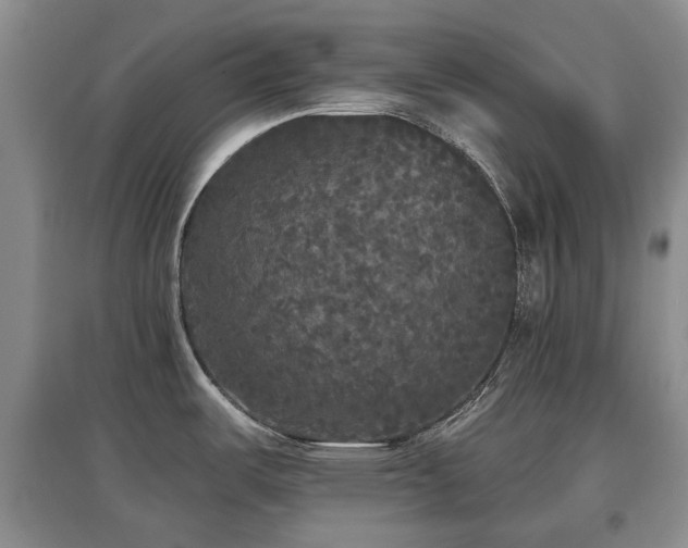 X0000097911487200803141407