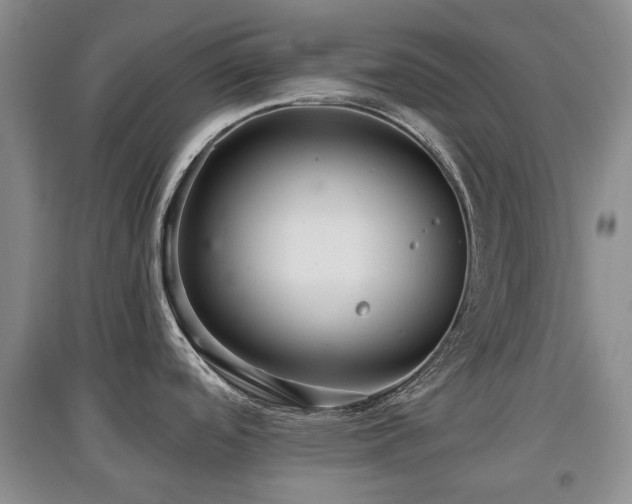 X0000097911488200803141406