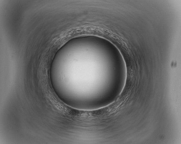 X0000097911489200803141406