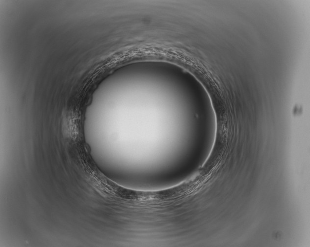 X0000097911490200803141406