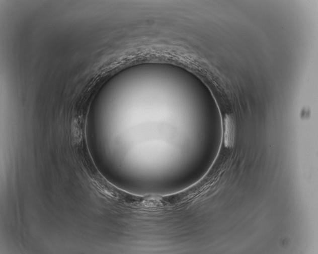 X0000097911491200803141406