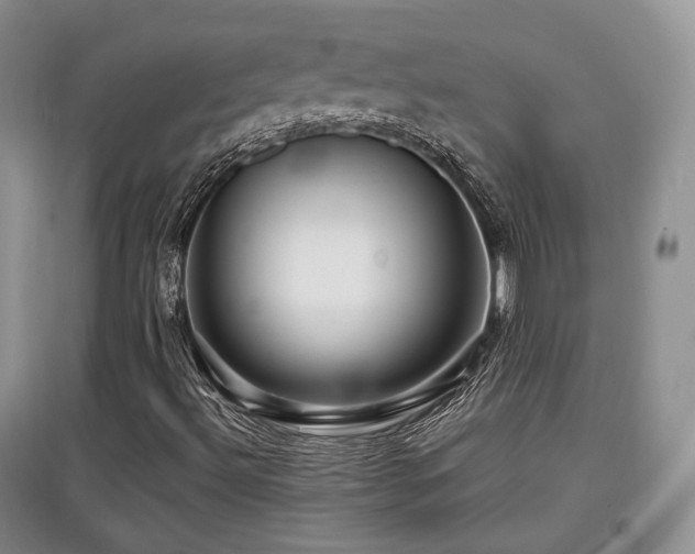 X0000097911492200803141406