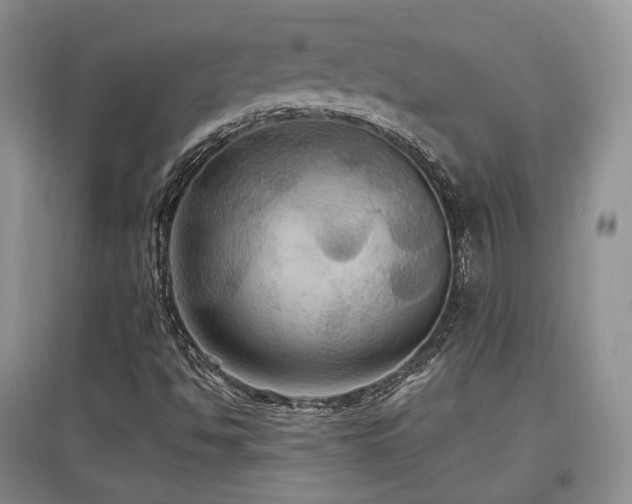 X0000097911494200803141406