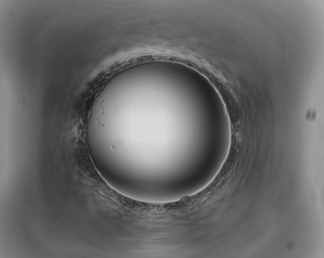 X0000097911495200803141406