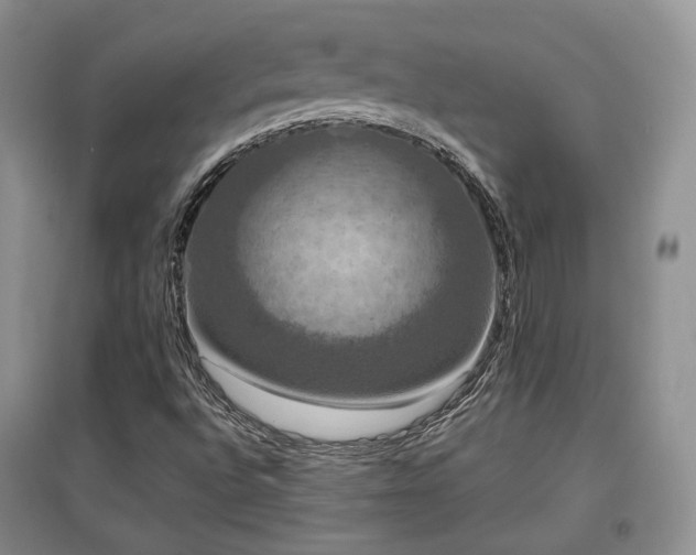 X0000097911496200803141406