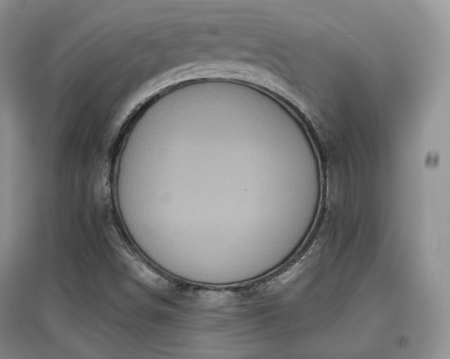 X0000097911498200803141406