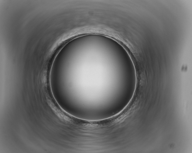 X0000097911499200803141406