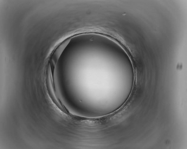 X0000097911500200803141406