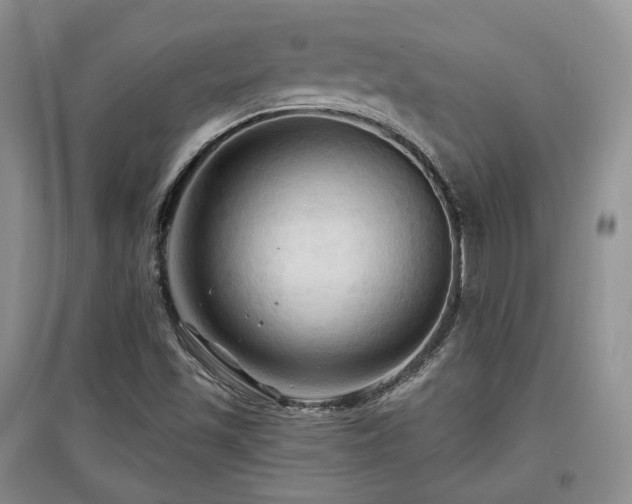 X0000097911501200803141406