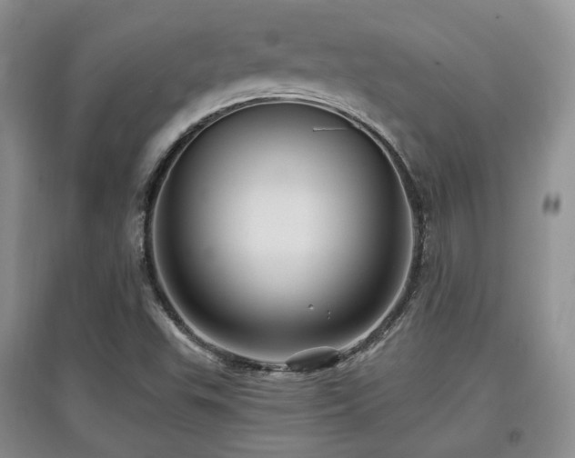 X0000097911503200803141406