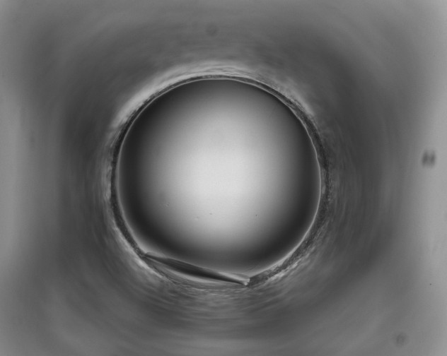 X0000097911504200803141406