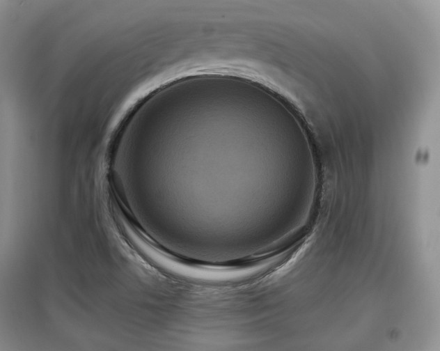 X0000097911506200803141406