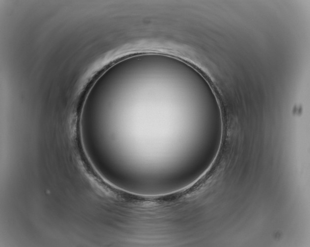 X0000097911507200803141406