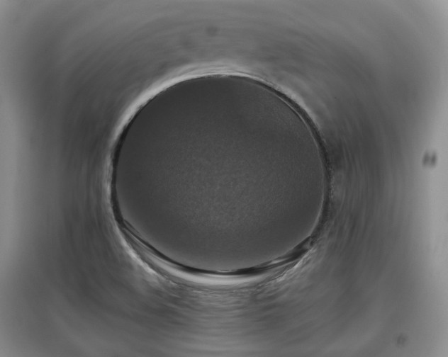X0000097911508200803141406