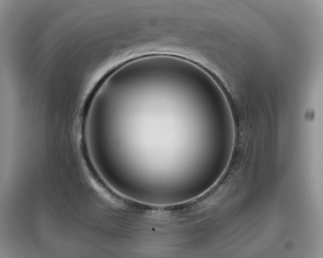 X0000097911511200803141406