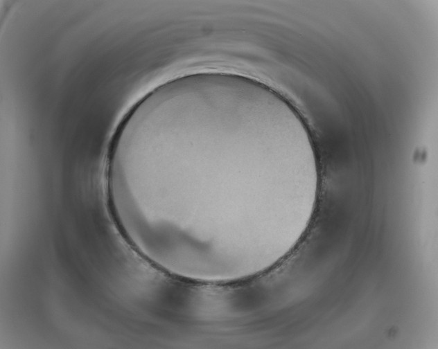 X0000097911514200803141406