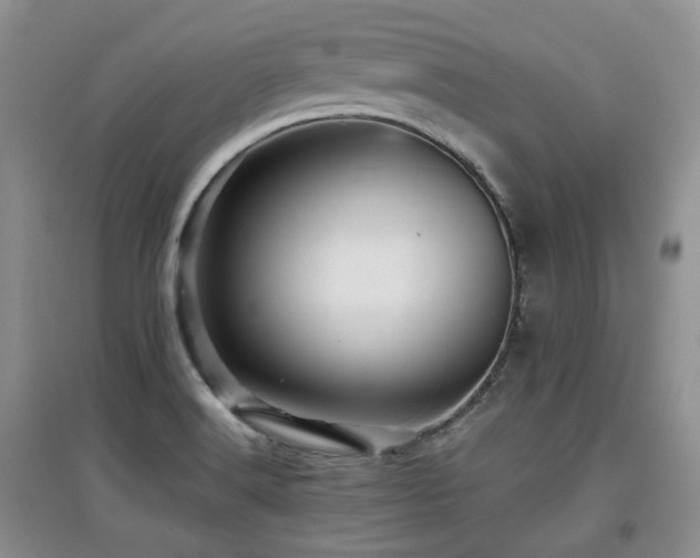 X0000097911516200803141406