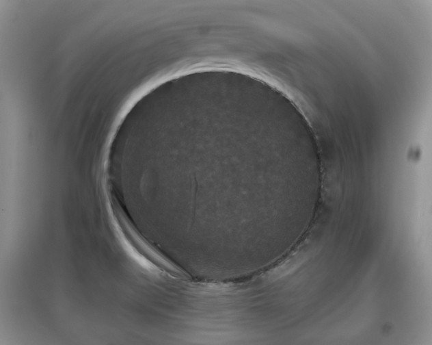 X0000097911519200803141406
