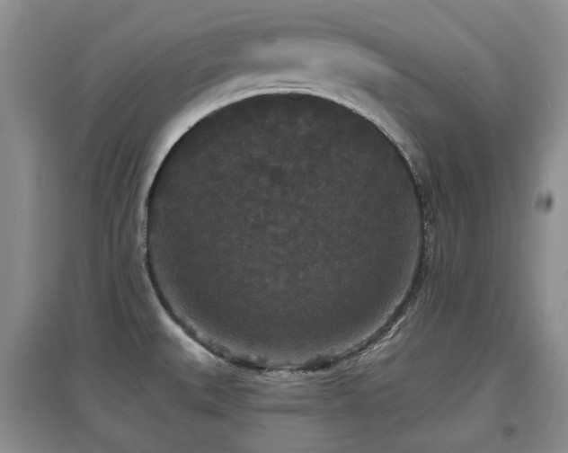 X0000097911527200803141406