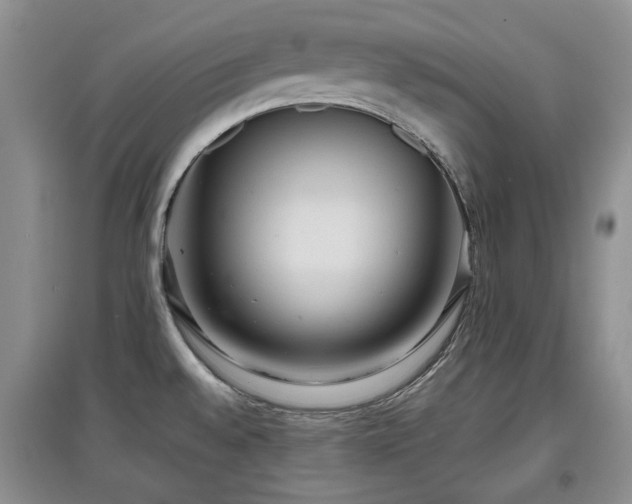X0000097911528200803141406