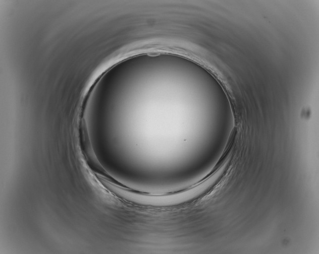 X0000097911530200803141406