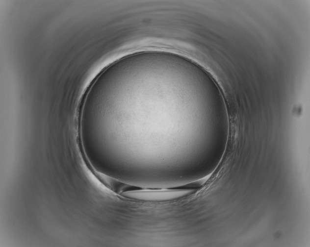 X0000097911531200803141406