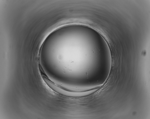 X0000097911532200803141406