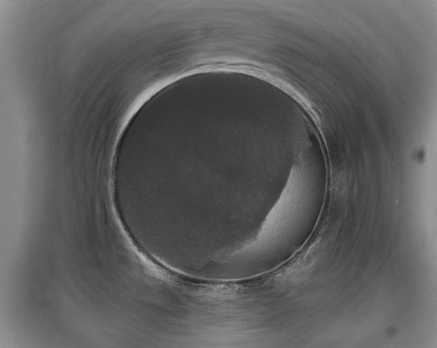 X0000097911533200803141406