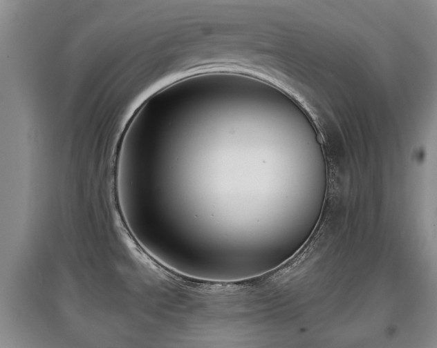 X0000097911534200803141406