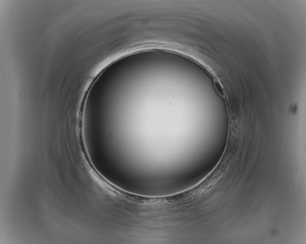 X0000097911535200803141406