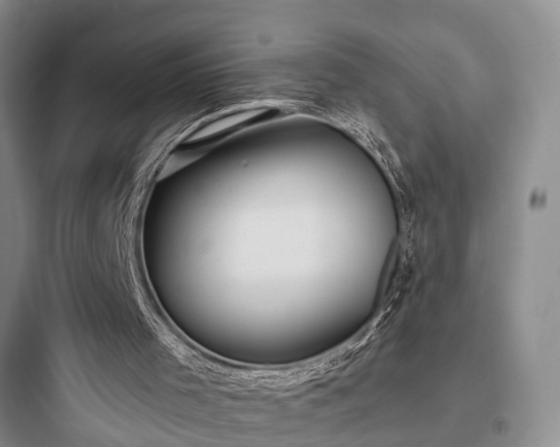 X0000097910001200803211515