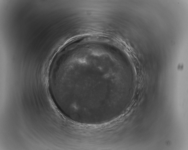 X0000097910002200803211515