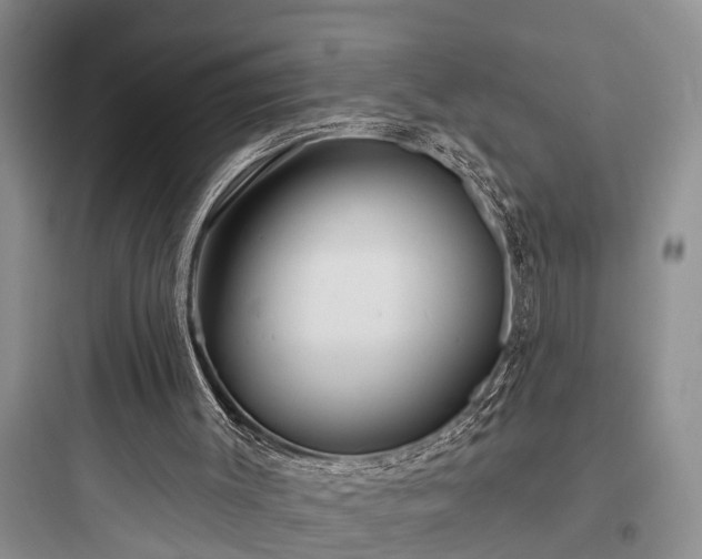 X0000097910003200803211515